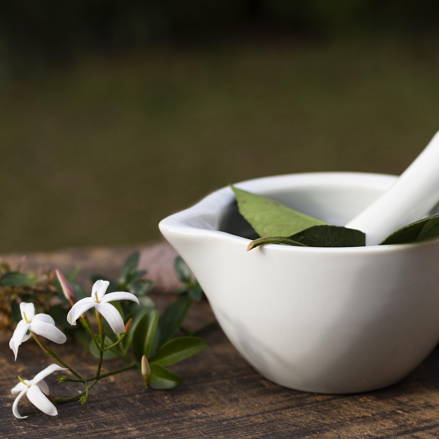 Phytothérapie, Pharmacie de la Gare, Hazebrouck